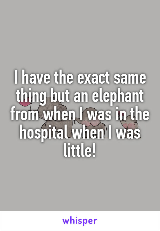 I have the exact same thing but an elephant from when I was in the hospital when I was little!