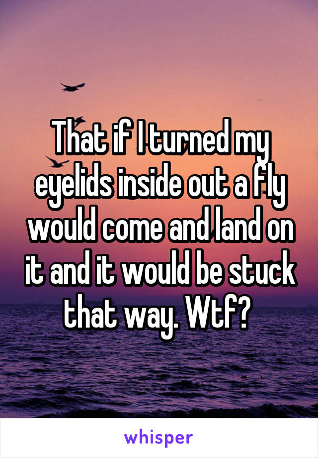 That if I turned my eyelids inside out a fly would come and land on it and it would be stuck that way. Wtf? 