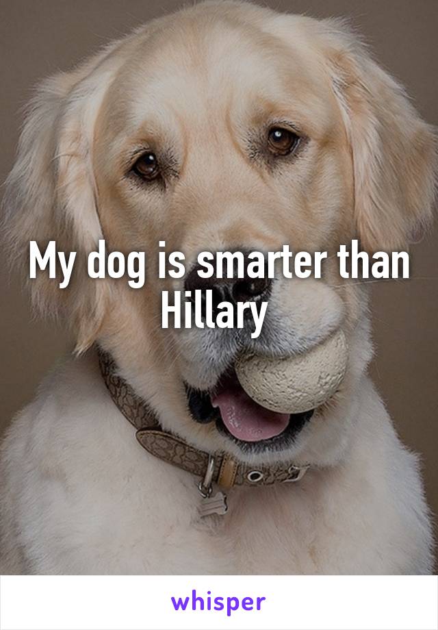 My dog is smarter than Hillary 
