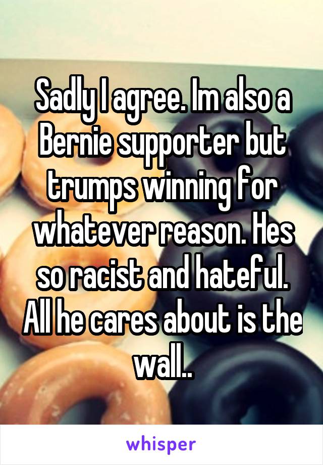 Sadly I agree. Im also a Bernie supporter but trumps winning for whatever reason. Hes so racist and hateful. All he cares about is the wall..