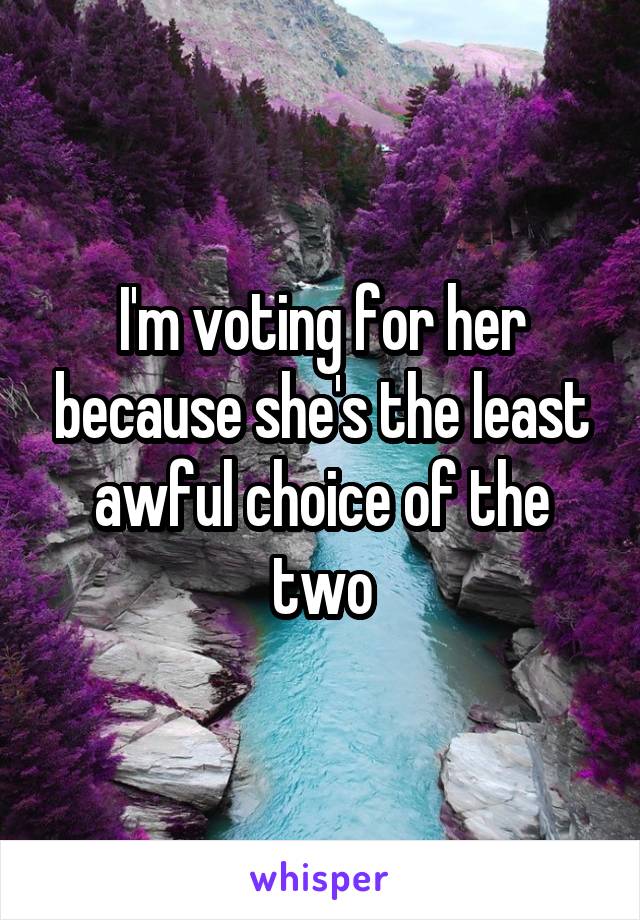 I'm voting for her because she's the least awful choice of the two