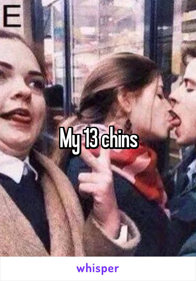 My 13 chins