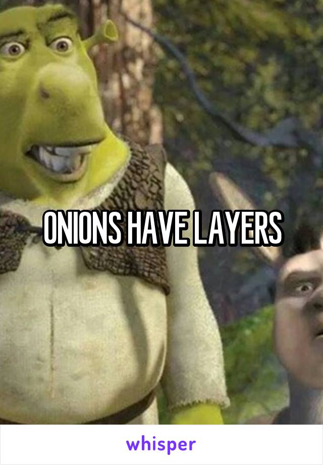 ONIONS HAVE LAYERS