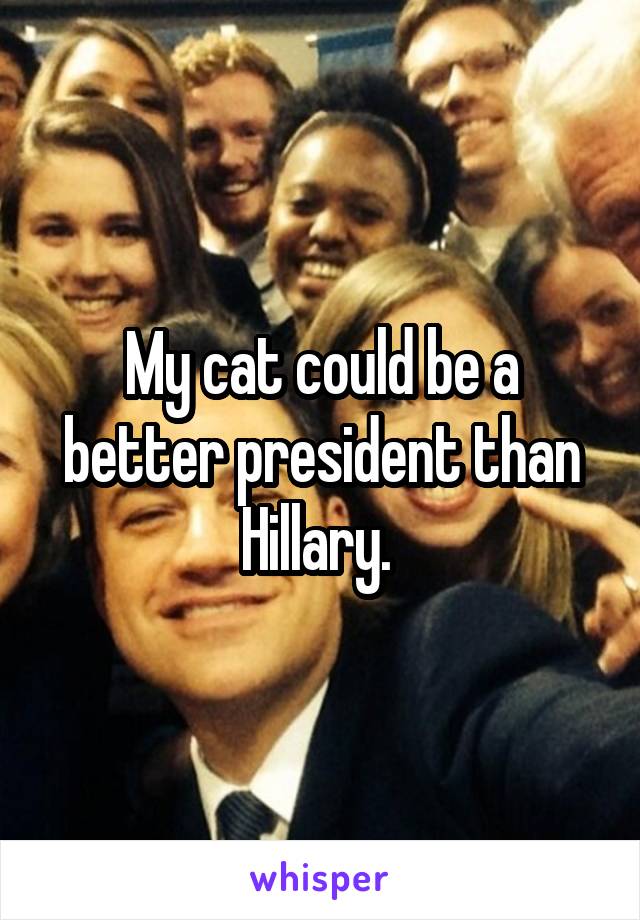 My cat could be a better president than Hillary. 