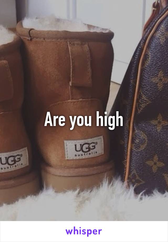 Are you high