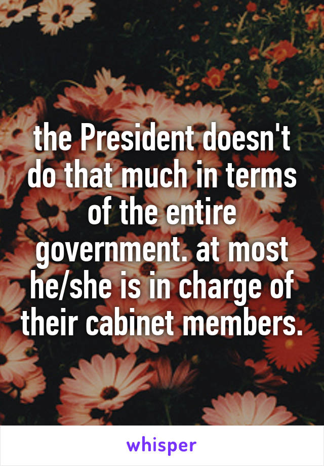 the President doesn't do that much in terms of the entire government. at most he/she is in charge of their cabinet members.