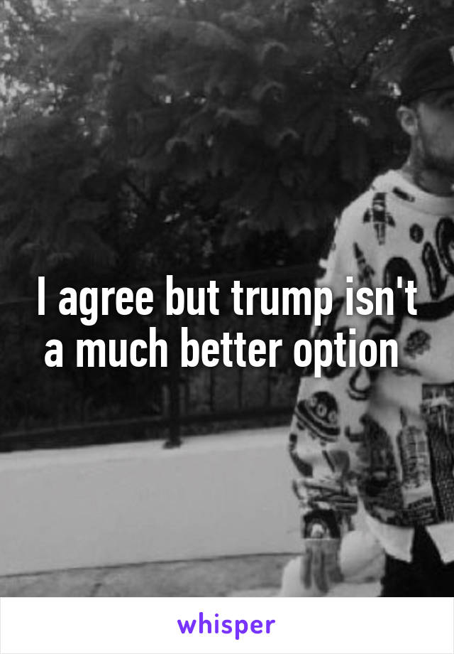 I agree but trump isn't a much better option 