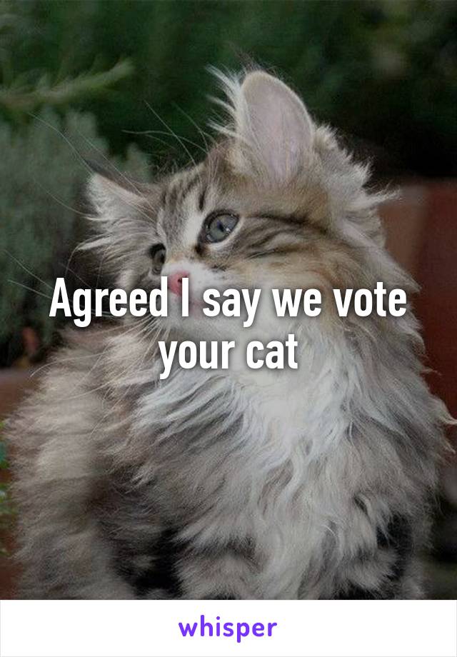 Agreed I say we vote your cat