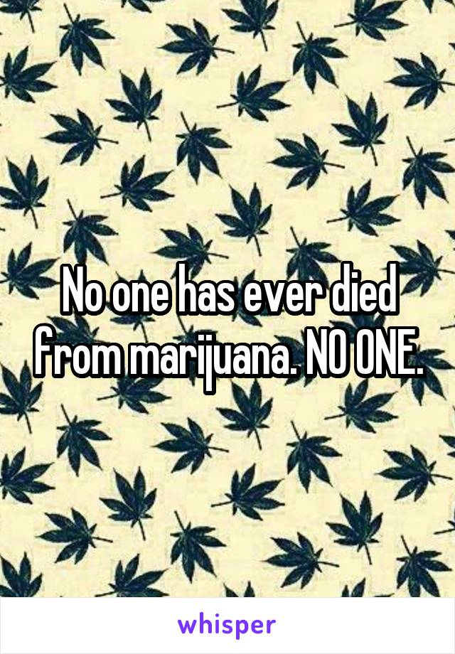 No one has ever died from marijuana. NO ONE.