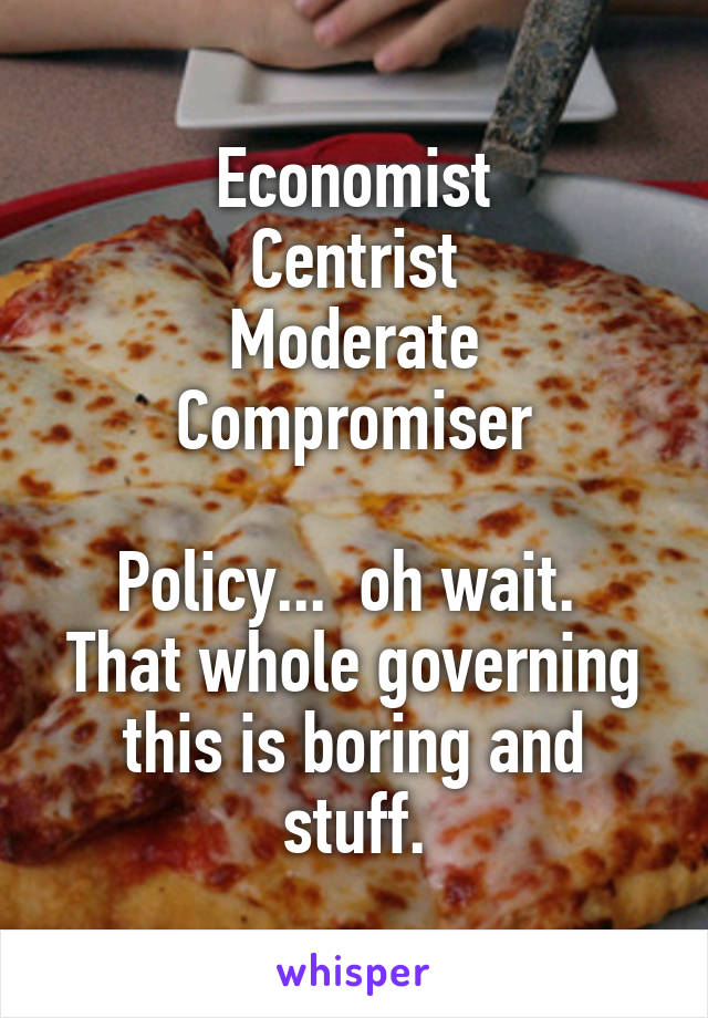 Economist
Centrist
Moderate
Compromiser

Policy...  oh wait.  That whole governing this is boring and stuff.