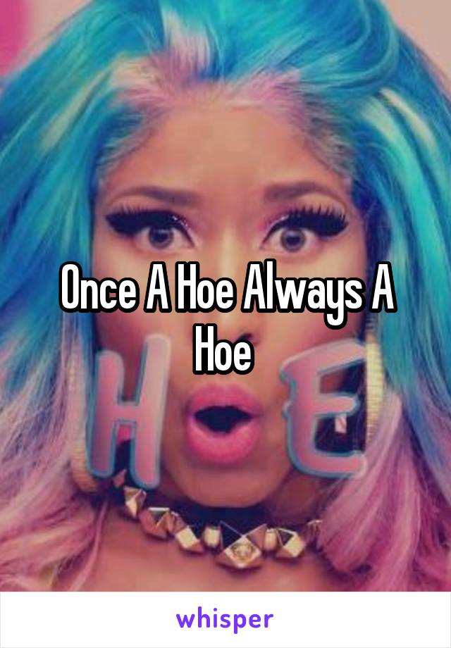 Once A Hoe Always A Hoe 