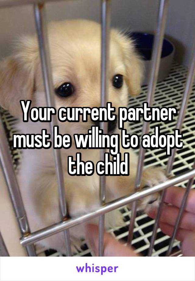 Your current partner must be willing to adopt the child