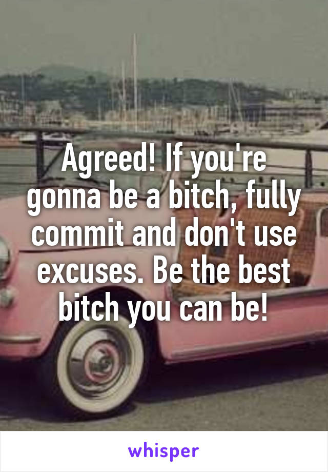 Agreed! If you're gonna be a bitch, fully commit and don't use excuses. Be the best bitch you can be!