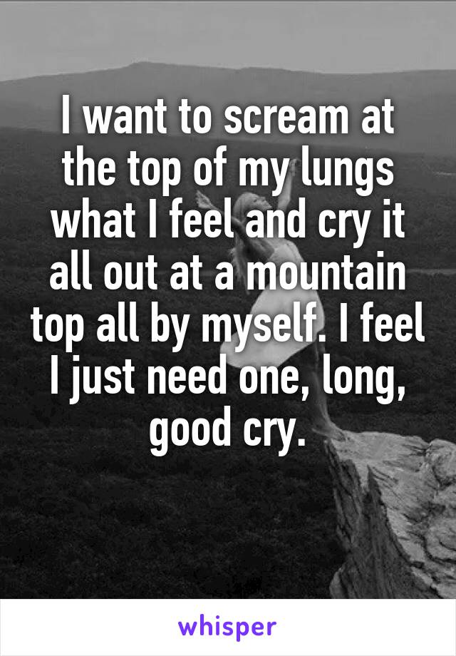 I want to scream at the top of my lungs what I feel and cry it all out at a mountain top all by myself. I feel I just need one, long, good cry.

