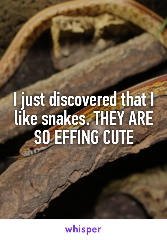 I just discovered that I like snakes. THEY ARE SO EFFING CUTE