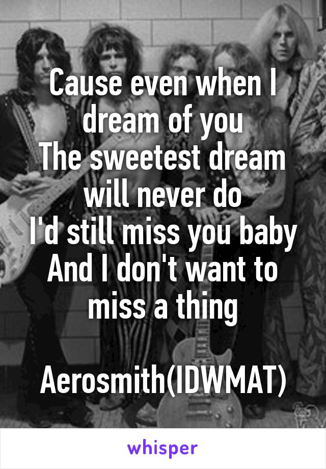 Cause even when I dream of you
The sweetest dream will never do
I'd still miss you baby
And I don't want to miss a thing

Aerosmith(IDWMAT)