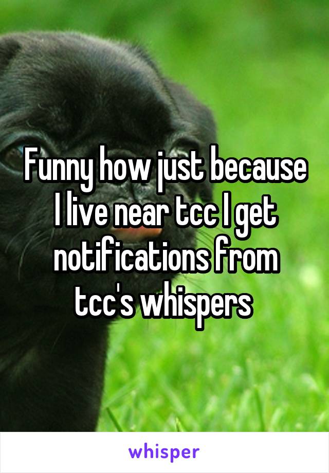 Funny how just because I live near tcc I get notifications from tcc's whispers 