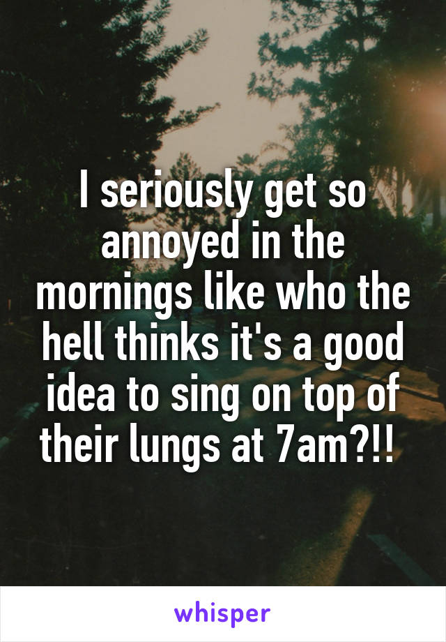 I seriously get so annoyed in the mornings like who the hell thinks it's a good idea to sing on top of their lungs at 7am?!! 