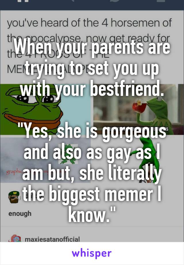When your parents are trying to set you up with your bestfriend.

"Yes, she is gorgeous and also as gay as I am but, she literally the biggest memer I know."