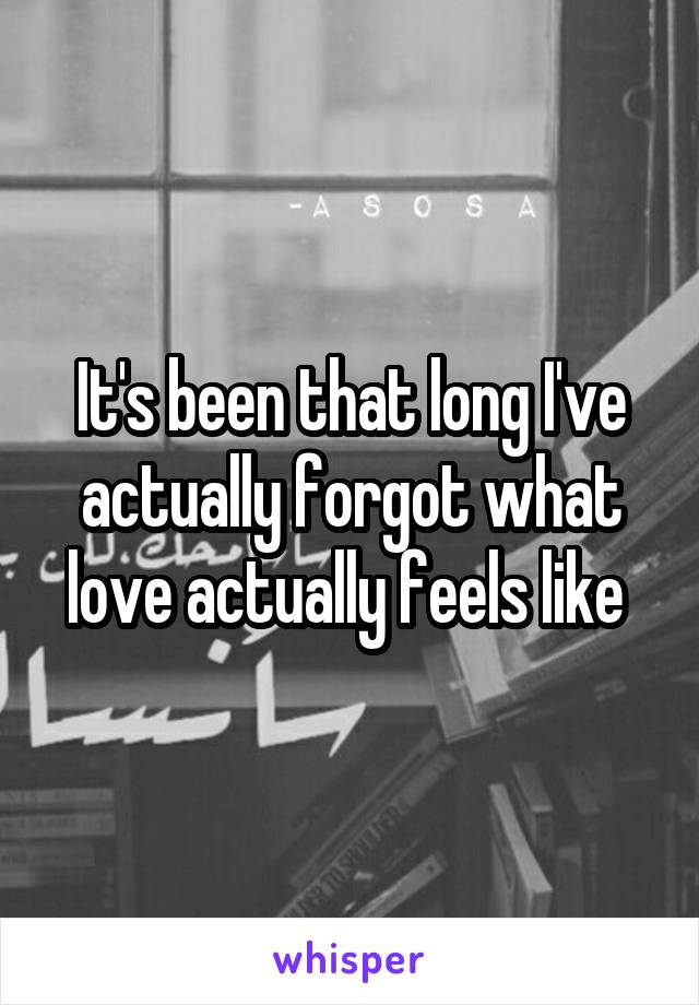 It's been that long I've actually forgot what love actually feels like 