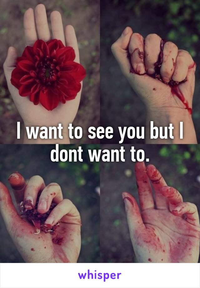 I want to see you but I dont want to.
