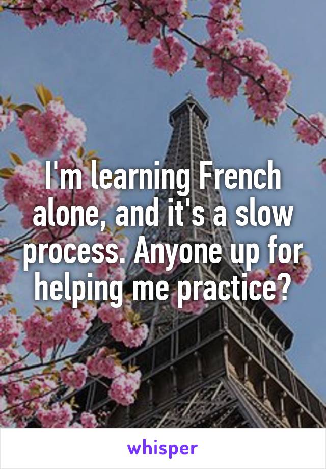 I'm learning French alone, and it's a slow process. Anyone up for helping me practice?