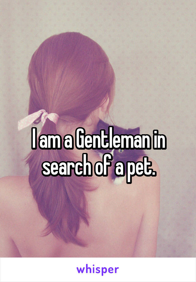 
I am a Gentleman in search of a pet.