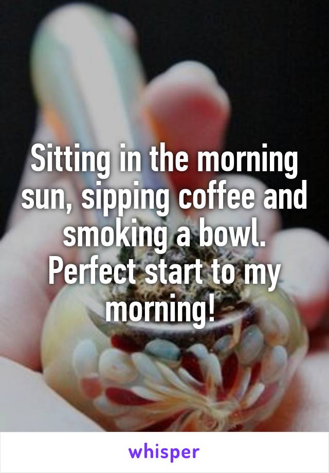 Sitting in the morning sun, sipping coffee and smoking a bowl.
Perfect start to my morning! 