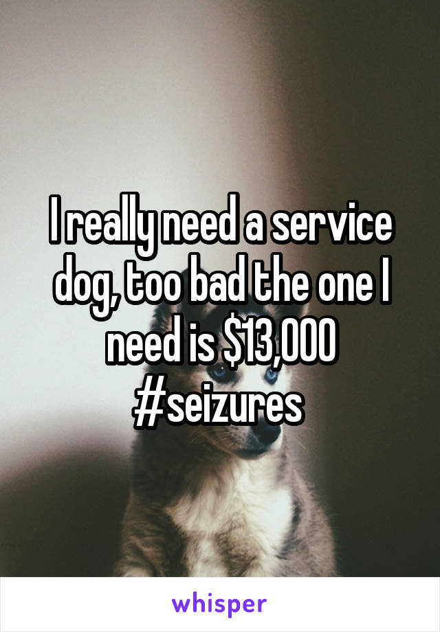 I really need a service dog, too bad the one I need is $13,000 #seizures 