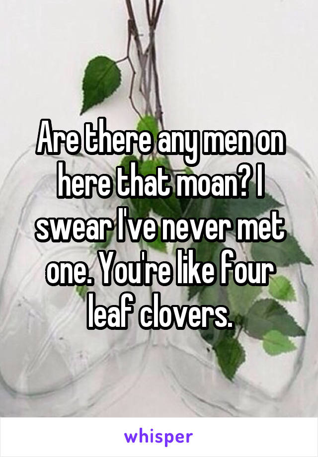 Are there any men on here that moan? I swear I've never met one. You're like four leaf clovers.
