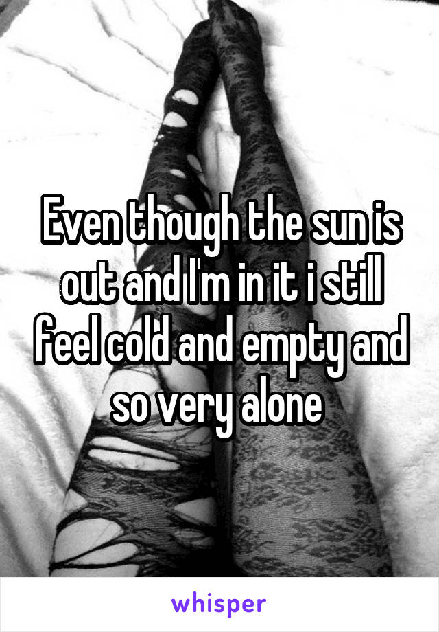 Even though the sun is out and I'm in it i still feel cold and empty and so very alone 