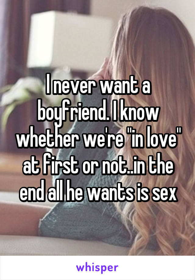 I never want a boyfriend. I know whether we're "in love" at first or not..in the end all he wants is sex