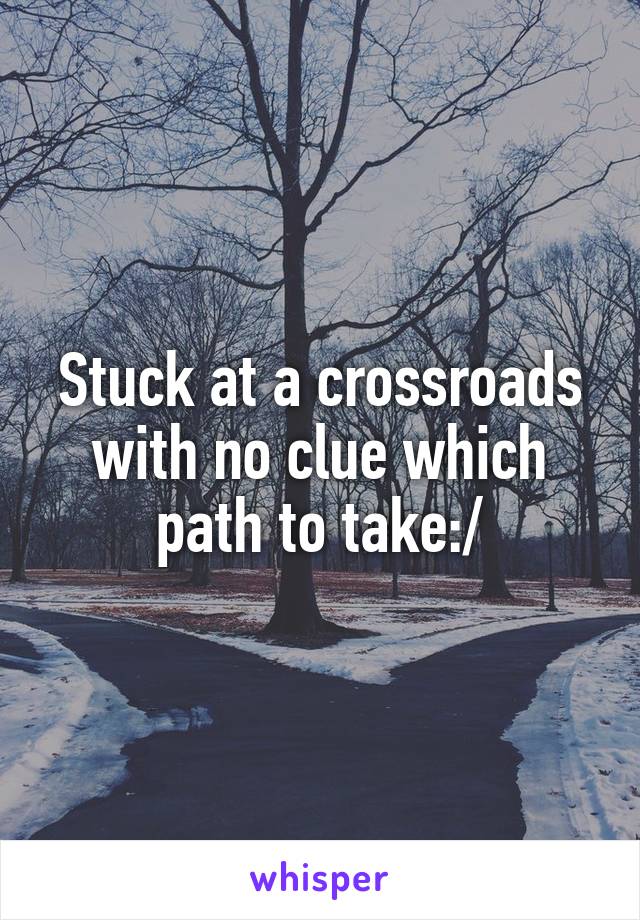 Stuck at a crossroads with no clue which path to take:/