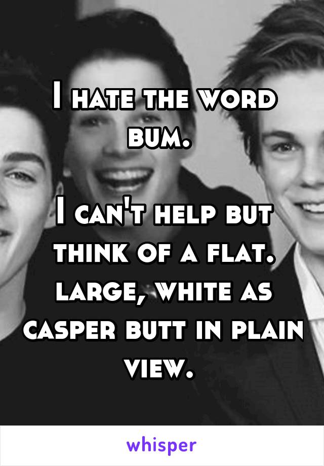 I hate the word bum. 

I can't help but think of a flat. large, white as casper butt in plain view. 