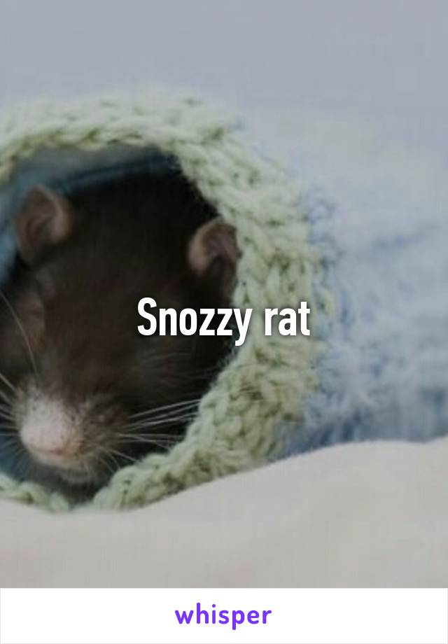 Snozzy rat