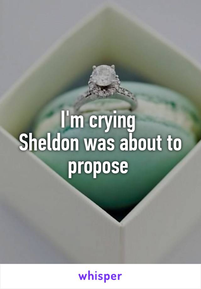 I'm crying 
Sheldon was about to propose 