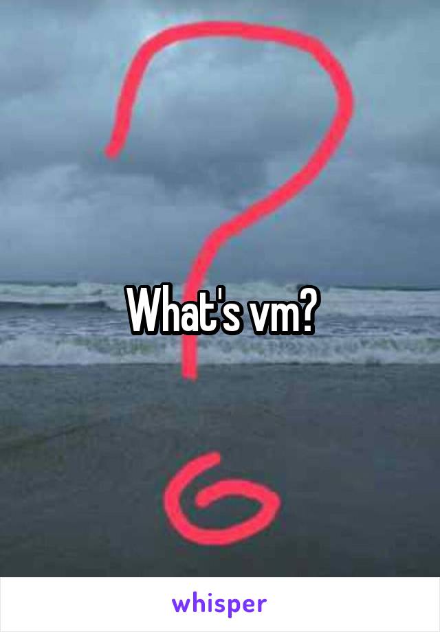 What's vm?