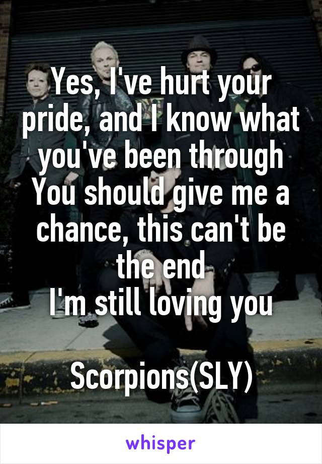 Yes, I've hurt your pride, and I know what you've been through
You should give me a chance, this can't be the end
I'm still loving you

Scorpions(SLY)