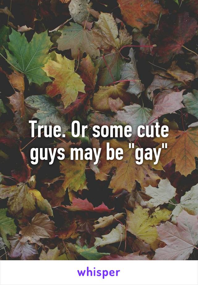 True. Or some cute guys may be "gay"