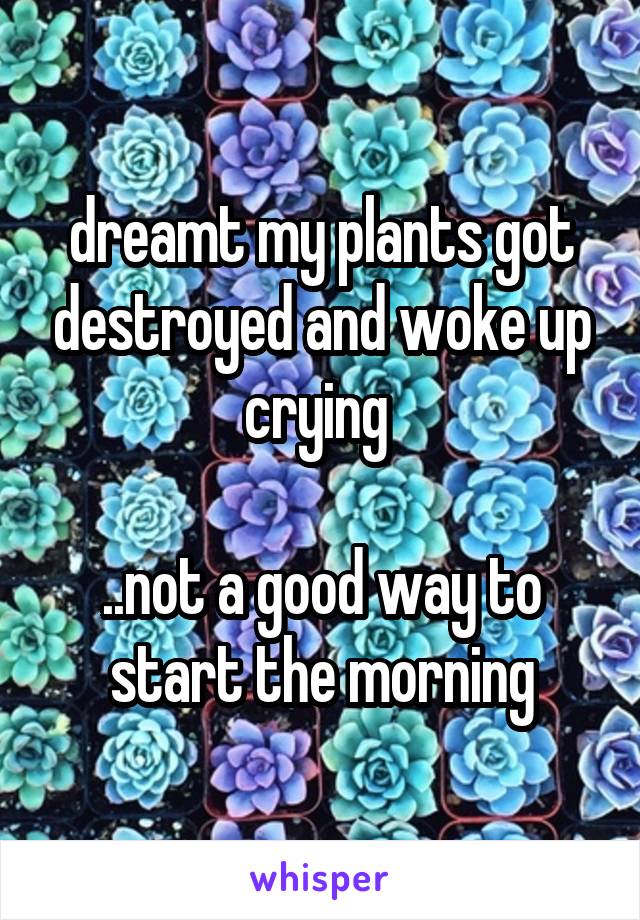 dreamt my plants got destroyed and woke up crying 

..not a good way to start the morning