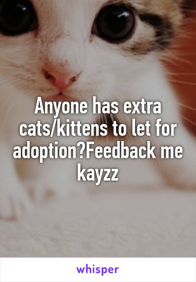 Anyone has extra cats/kittens to let for adoption?Feedback me kayzz