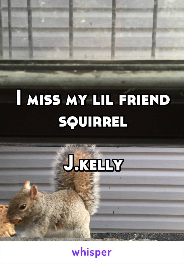 I miss my lil friend squirrel

J.kelly