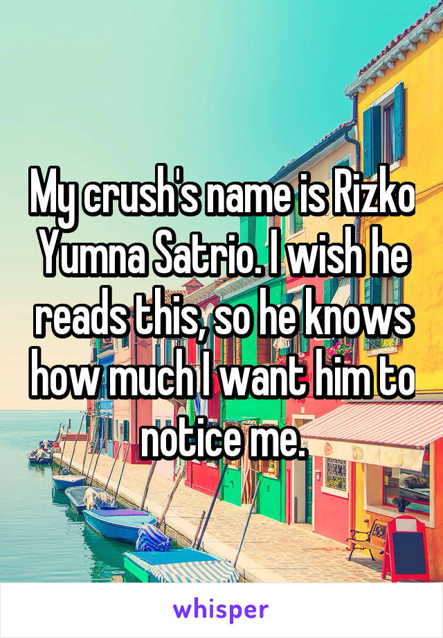 My crush's name is Rizko Yumna Satrio. I wish he reads this, so he knows how much I want him to notice me.