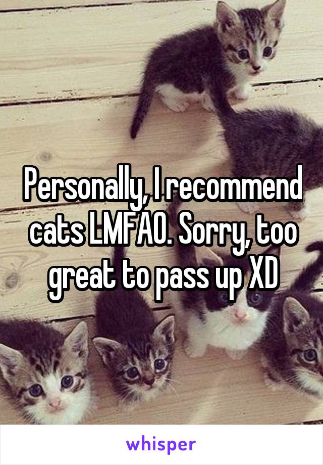 Personally, I recommend cats LMFAO. Sorry, too great to pass up XD
