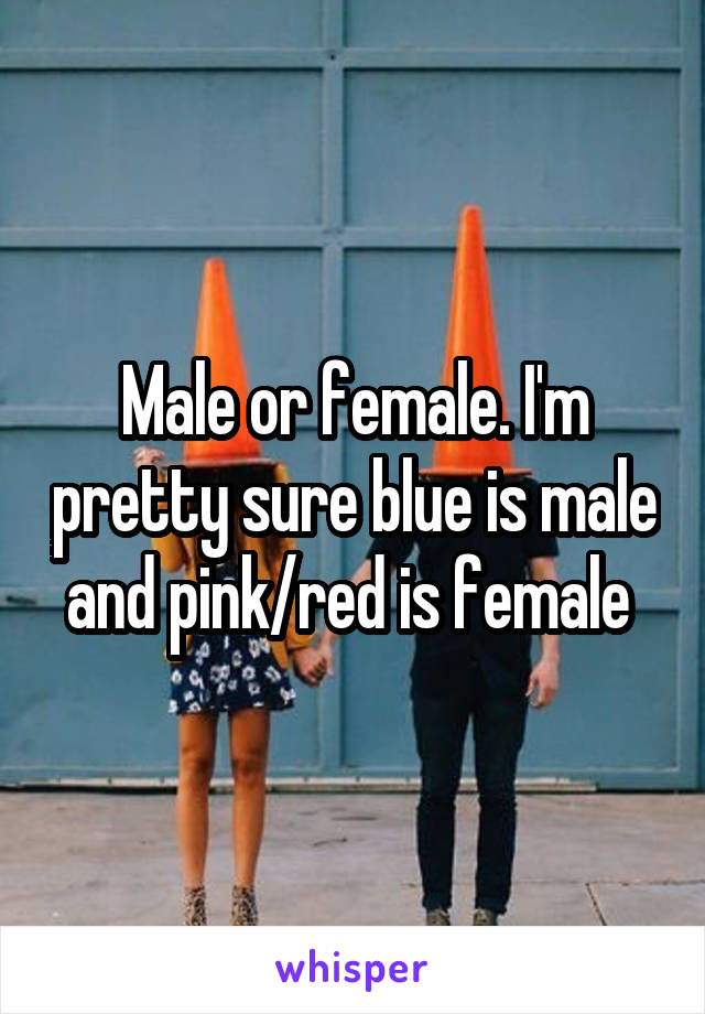 Male or female. I'm pretty sure blue is male and pink/red is female 