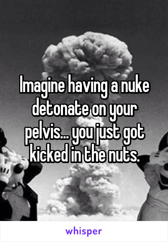 Imagine having a nuke detonate on your pelvis... you just got kicked in the nuts.
