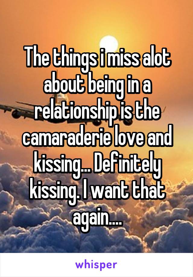The things i miss alot about being in a relationship is the camaraderie love and kissing... Definitely kissing. I want that again....