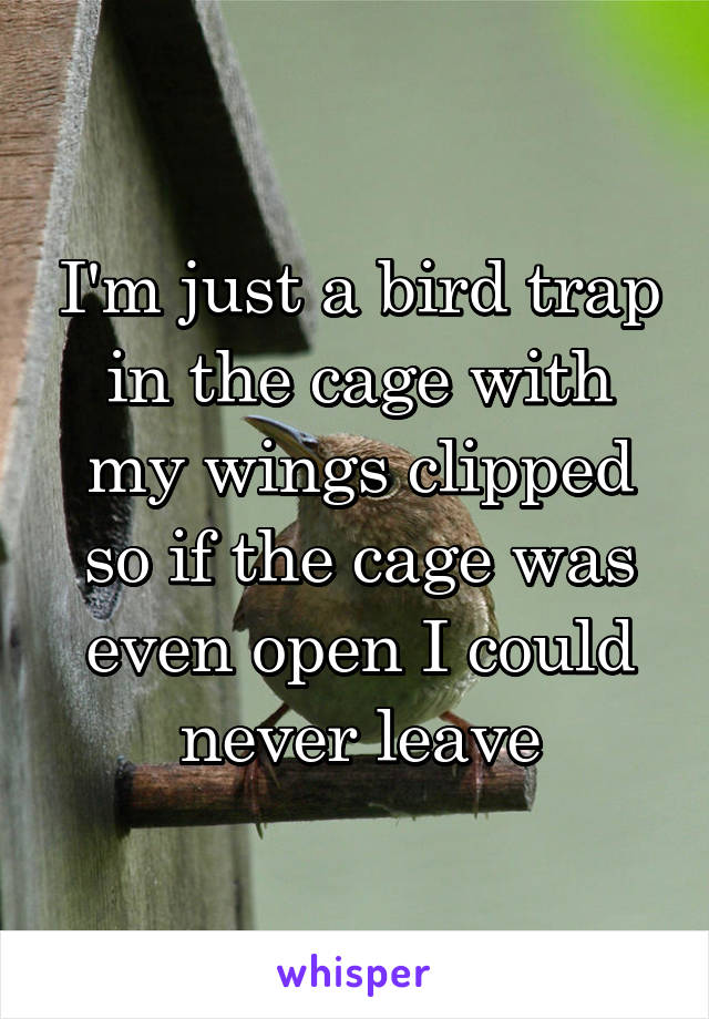 I'm just a bird trap in the cage with my wings clipped so if the cage was even open I could never leave
