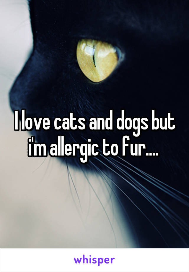 I love cats and dogs but i'm allergic to fur.... 