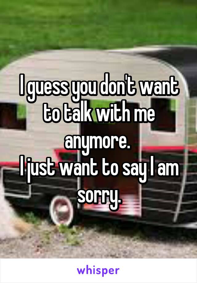 I guess you don't want to talk with me anymore. 
I just want to say I am sorry.